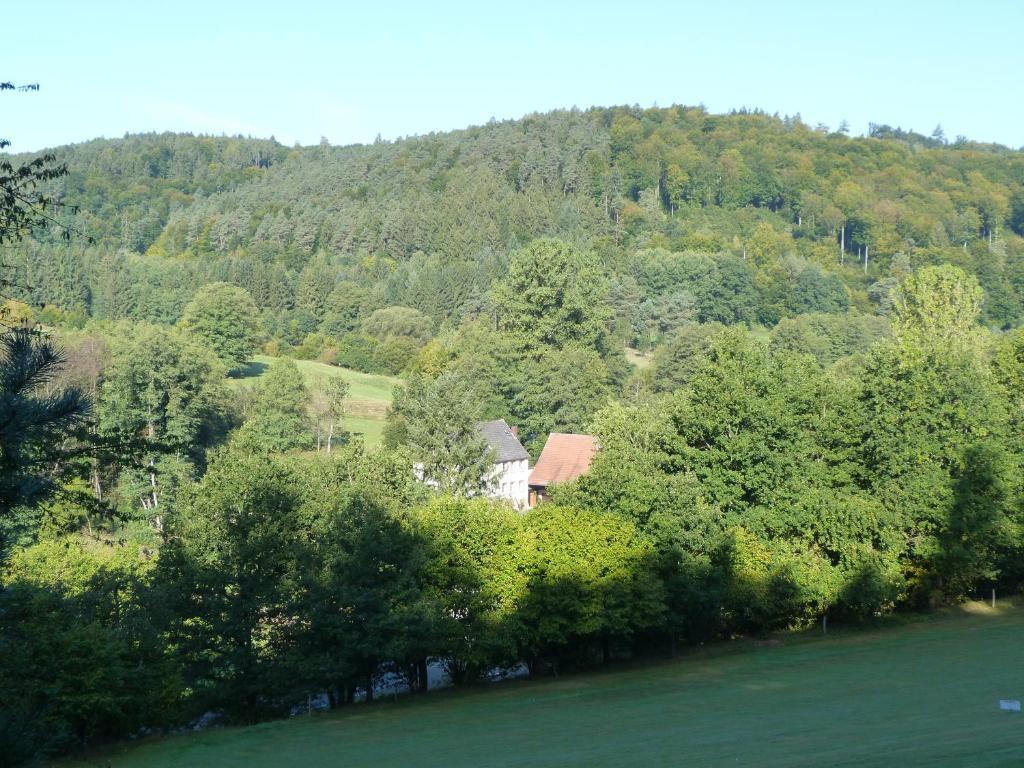 Landgasthof Geiersmuehle Vielbrunn المظهر الخارجي الصورة